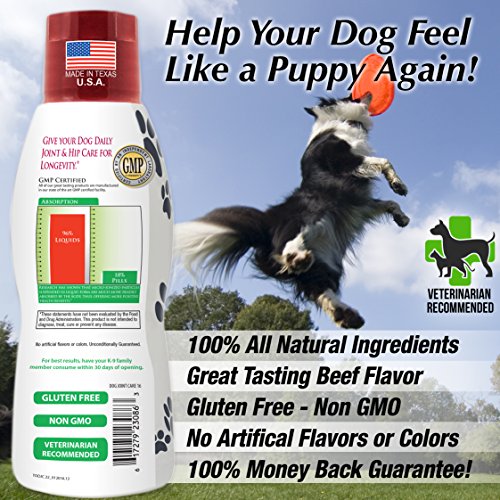 VETERINARIAN DEVELOPED Hip & Joint Supplement for Dogs - Max Strength Liquid Glucosamine for Dogs w/Chondroitin, MSM, Hyaluronic Acid PLUS Collagen -Arthritis Pain Relief for Dogs -16oz, Up to 64 Serv