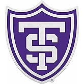 Rico Industries NCAA St. Thomas (MN) Tommies Shape Cut Pennant - Home and Living Room Décor - Soft Felt EZ to Hang