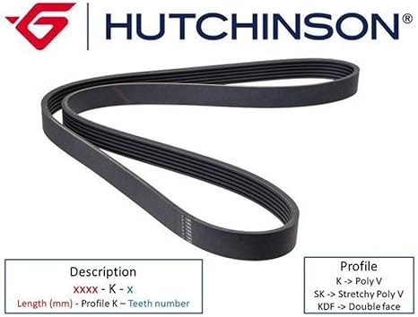 Hutchinson cinghie