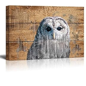 Double Exposure Rustic Canvas Wall Art - an Owl - Giclee Print Modern Wall Art | Stretched Gallery Wrap Ready to Hang Home Decoration - 12x18 inches