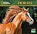 National Geographic Horses 2018 Wall Calendar