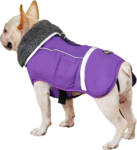 犬 冬服 ダウン 330979犬 とお 揃いの 冬服 ダウン pictblogjoki