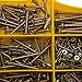 Brackit 780 Pc Chipboard Screw Assortment Kit | Large Value Pack Zinc-Plated, Extra Strength Assorted Wood Screws for Door Hinges, Repairs, Drilling Boards with Clear Top Tool Box