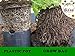 dWee Grow Bags Heavy Duty Variety Pack/Aeration Fabric pots - 5 Pack 1/3/5/7/10 Gallons Indoor/Outdoor with Handles