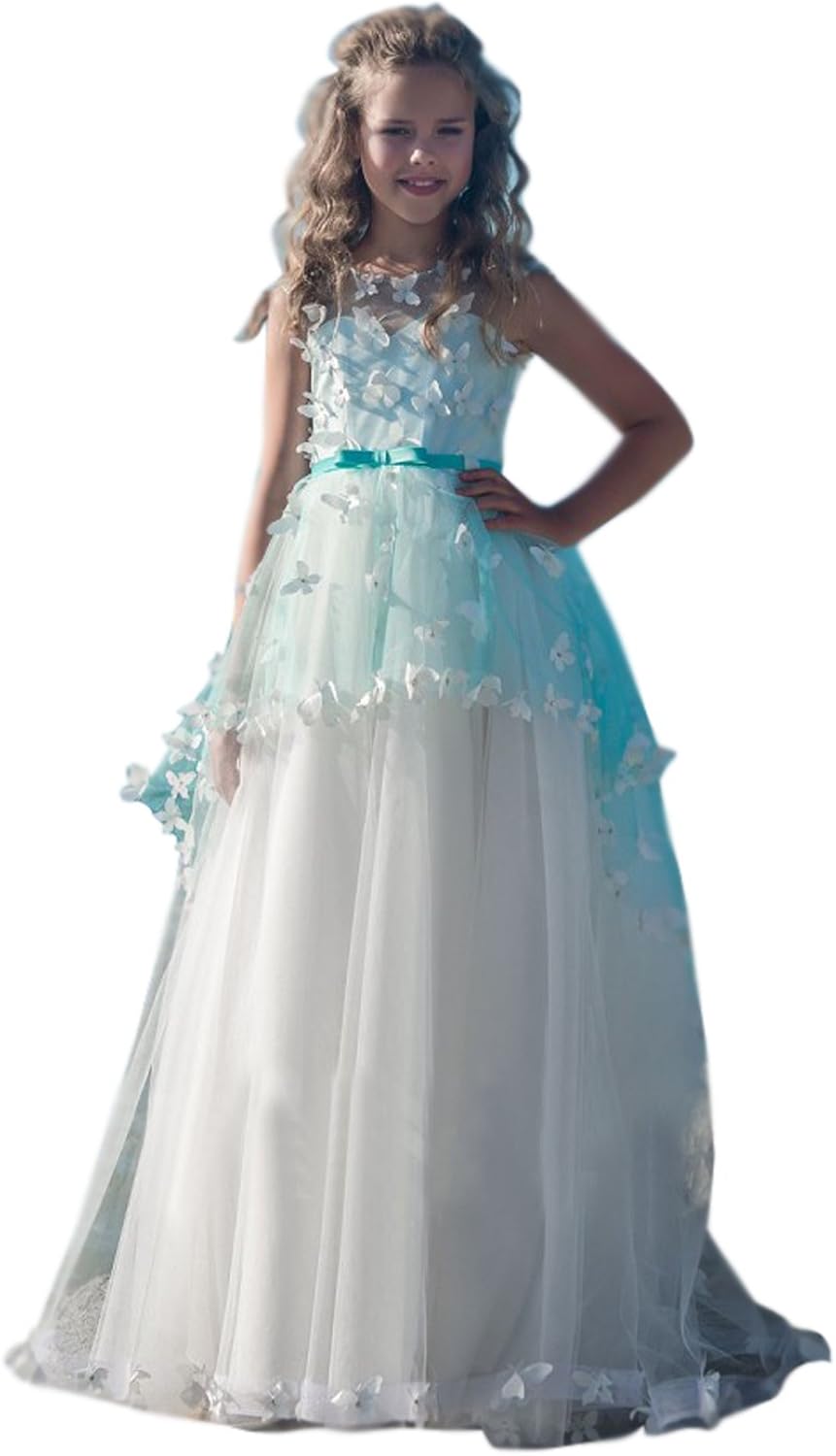 butterfly flower girl dress