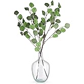 Bfttlity Clear Glass Vase Tall Farmhouse Vase for Branches Glass Vases for Centerpieces in Home Decoration (S)