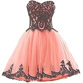 Kivary Short Tulle Vintage Black Lace Gothic Prom Homecoming Cocktail Party Dresses