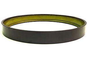 Axle ABS Tone Ring (Rubber Relutor Ring) With Magnetic Encoding 213132ABS Compatible with Chrylser 300 Charger Magnum Challen