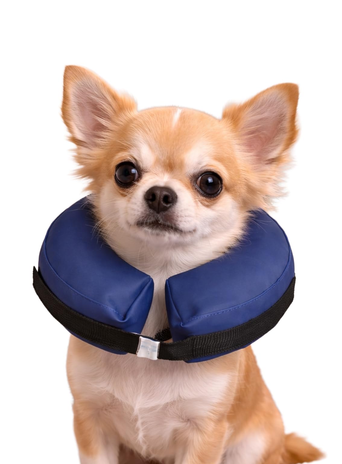 Karlie Protector Dog Collar, 16 x 16 x 6 cm, Blue, X-Small — image 1