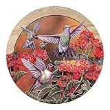 Thirstystone Drink Coaster Set, Hummingbirds and Flowers