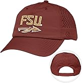 Desert Cactus Florida State University Snapback Hat – BreezePro Performance Baseball Cap Adjustable Strap for FSU Fans (BP3)