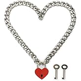 Succuba Padlock Necklace Chain Collar Choker with Two Keys and Box for Women, Men and Pet