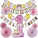 First Birthday Decorations & Party Supplies by Aliza | Monthly Milestone Banner - One Cake Topper – 1st Birthday Hat - Balloons - Pink Paper Fans – The Complete Baby Girl Party Decor Set