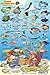 Cozumel Reef Creatures Guide Franko Maps Laminated Fish Card 4