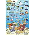 Cozumel Reef Creatures Guide Franko Maps Laminated Fish Card 4"x6"