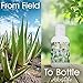 Aloe Life - Face & Body Lotion, Concentrated Formula, Hydrates Dry Skin, Contains Antioxidants, Minerals, & Herbal Extracts, Pleasant Grapefruit Scent, Safe For All Skin Types, Gluten-Free (4 oz)