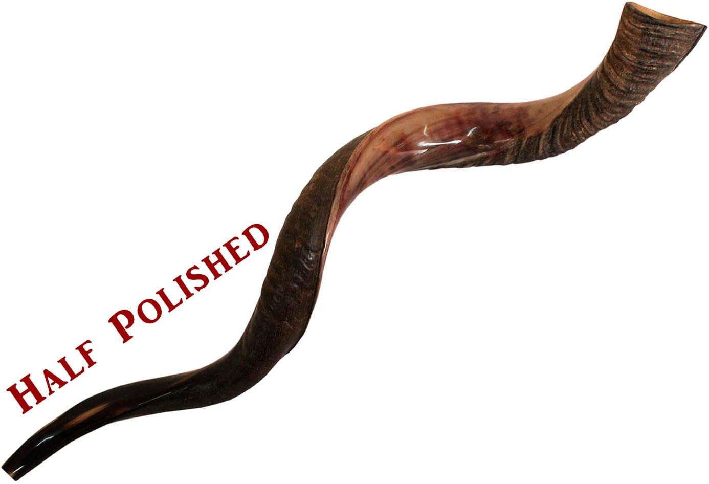 Premium Yemenite Kudu Horn Shofar From Israel - Half Polished - Traditional Ancient Musical Instrument For Spiritual Ceremonies And Religious Sermons - Size:16"-50" (48" -50", Shofar Size - XL)