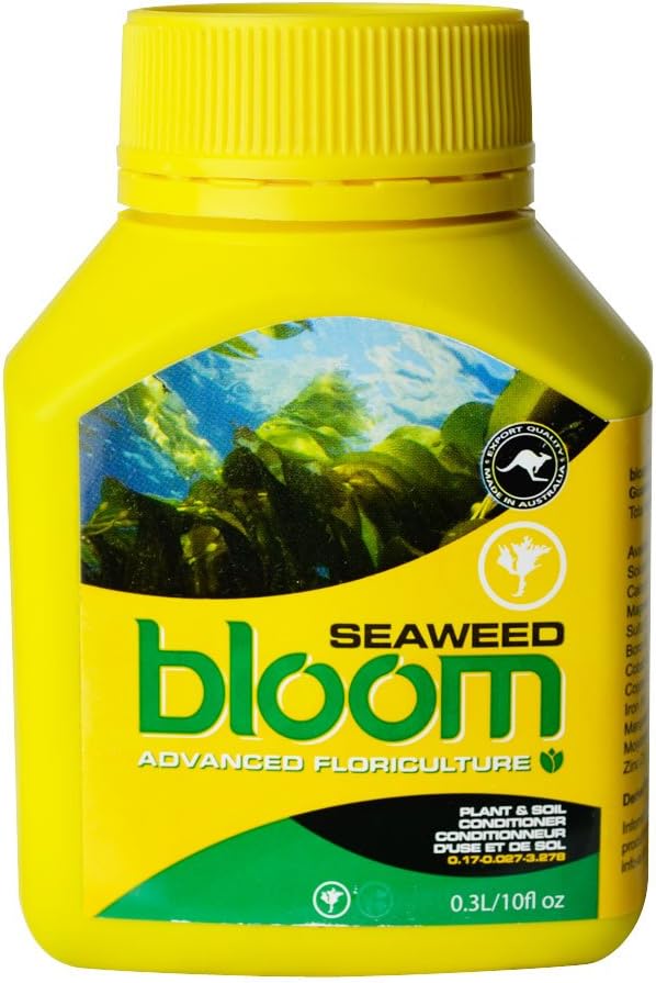 Yellow Bottles Seaweed Bloom, 300 Milliliter