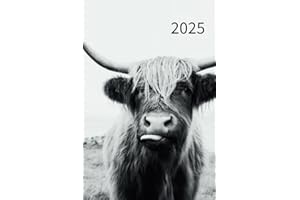 2025 Day/Year Planner: January 2025 to December 2025