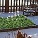 GTIDEA 4 Pcs Artificial Plants Outdoor Faux Greenery Stems Fake Plastic Plants for Bedroom Aesthetic Home Kictchen Office Wedding Table Centerpieces Décor(12.6 Inch)