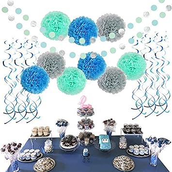 Buy Tissue Paper Flowers Pom Poms Silver Glitter Circle Garland