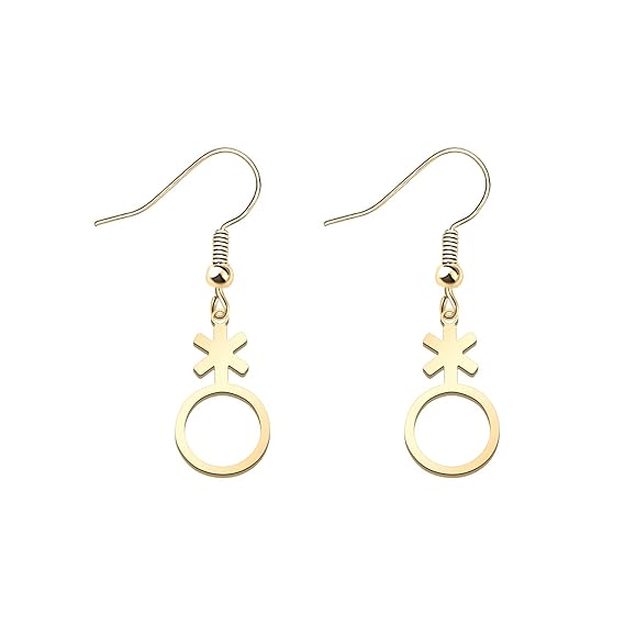 Buy Bobauna Lgbt Nonbinary Genderqueer Gender Symbol Pendant Necklace Gender Neutral Jewelery Gay Pride Transgender Gift Nonbinary Er G At Amazon In