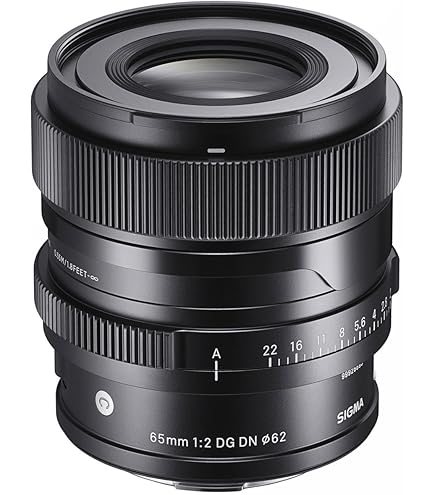 Sigma 65mm F2.0 DG DN for Sony E Mount : Amazon.ca: Electronics