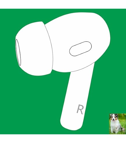 Amazon.com: Apple AirPods Pro 2nd Gen (USB-C) - Right Replacement