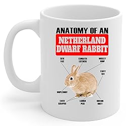 Lovesout Funny Red Netherland Dwarf Rabbit Anatomy