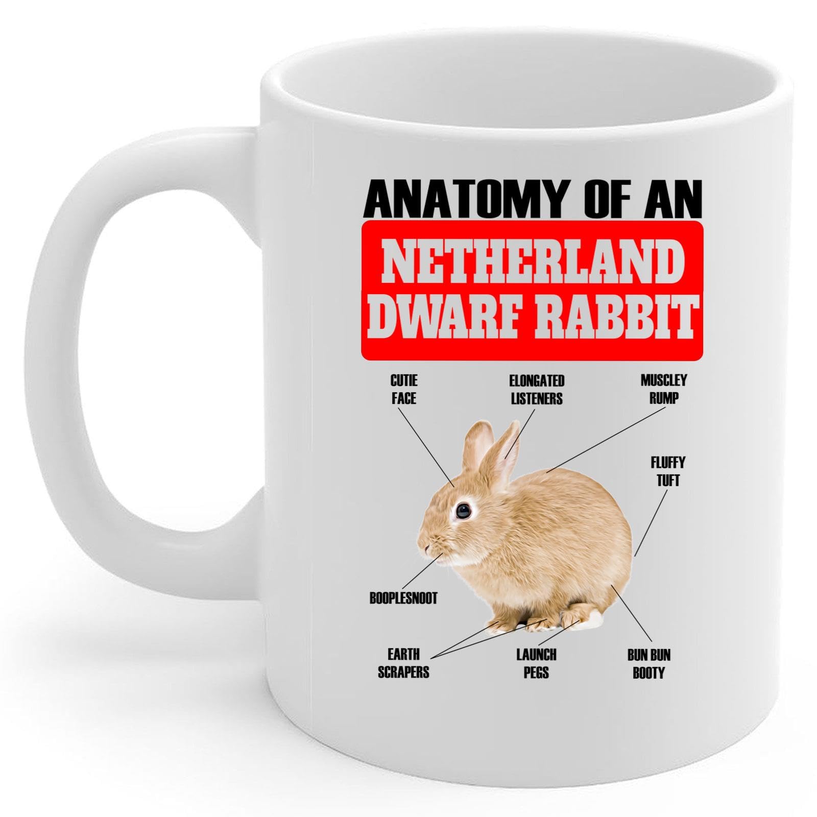 Lovesout Funny Red Netherland Dwarf Rabbit Anatomy