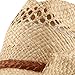 Raffia Hat with Band-Light Brown Band