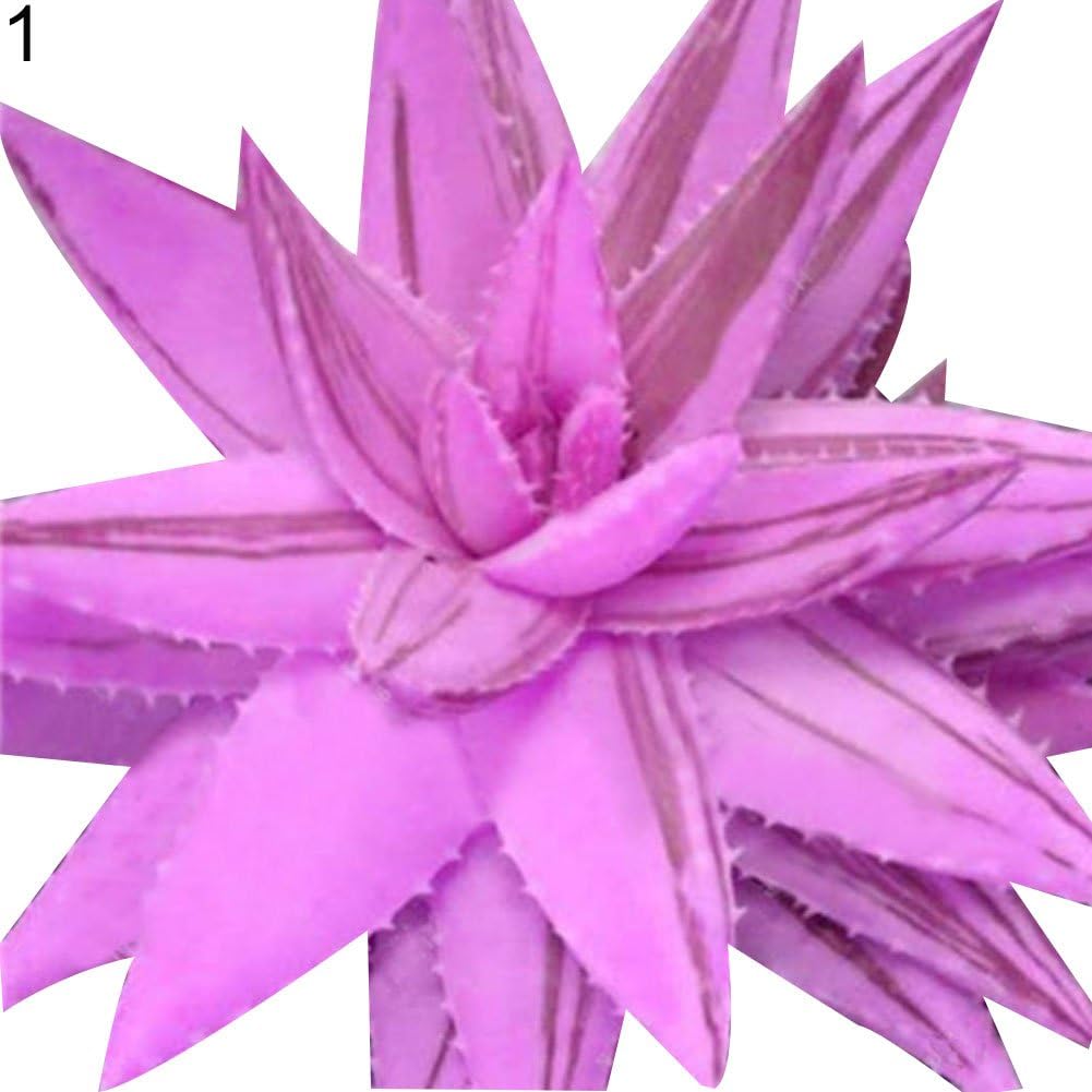Rose Iris Tectorum Sunflower Cobaea Scandens Seed, 100Pcs Rare Aloe Vera Succulent Plant Perennial Anti-Radiation Home Garden Seeds - 1# Aloe Vera Seeds