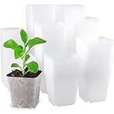 PINGEUI 150 Pcs Nursery Plant Pots, 3Inch Clear Square Herb Pots with Saucers, for Home, Office, Garden