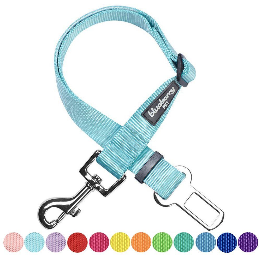 Blueberry Pet Essentials Seatbelt