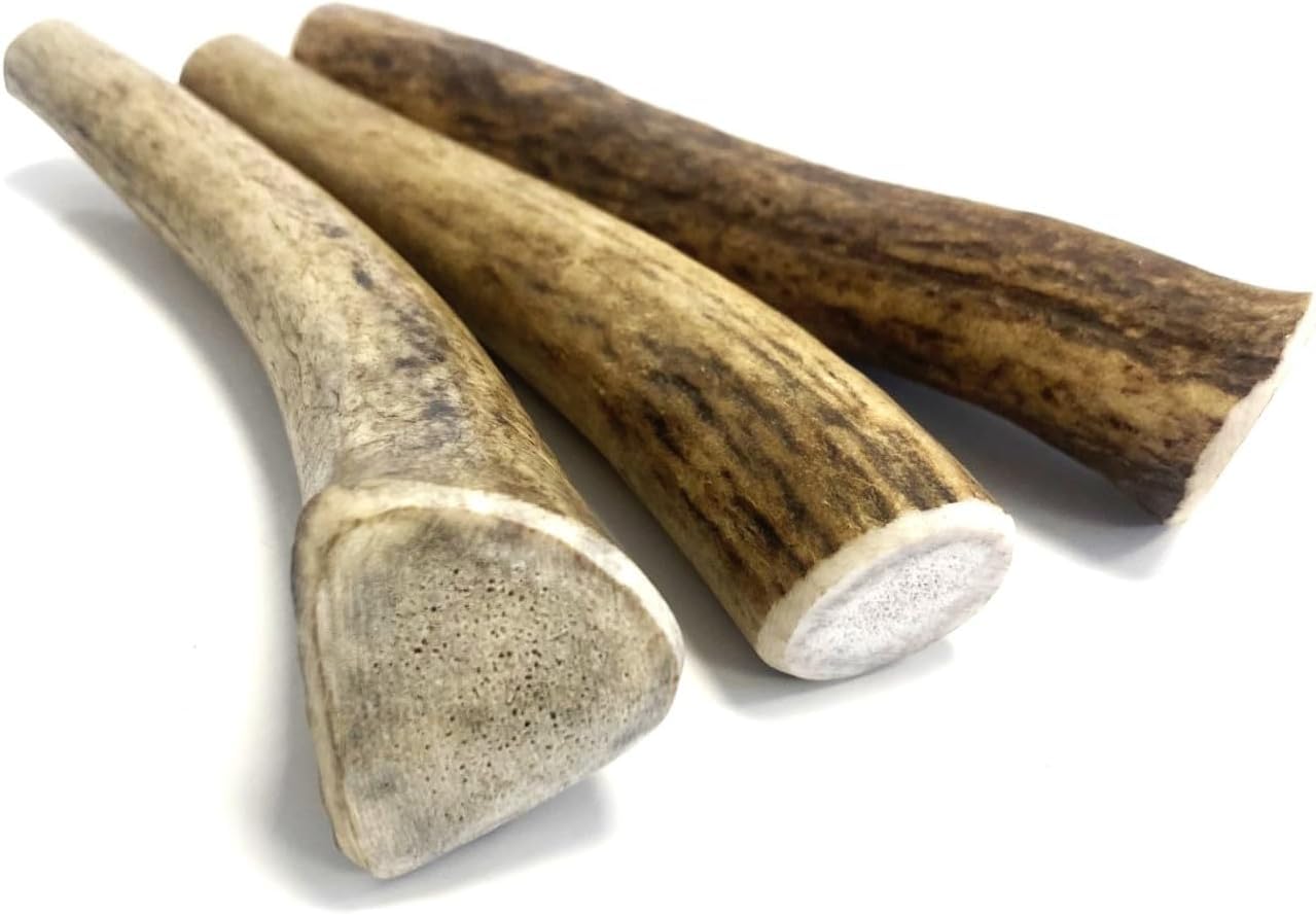Antler Dog Chews Mini x 2 (Weight -Mini 30 - 49g), (Size May Vary) Premium Quality Natural Dog Chew Treat Hypo-Allergenic Dog Chew Extra Small SHC