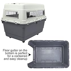 SportPet Designs Plastic Kennels Rolling Plastic