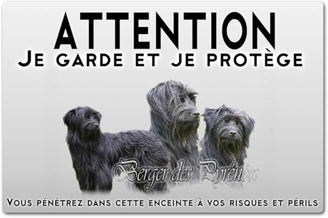 black pyrenean mountain dog