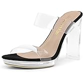 DREAM PAIRS Women's Clear Two Strap Open Toe High Block Chunky Slip on Dress Heel Sandals