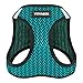 Voyager Step-in Air Dog Harness - All Weather Mesh, Reflective, No Pull Harness for Small, Medium Dogs, Cats - Secure with Hook & Loop Fastener, Buckle, Double D-Rings - Turquoise 2-Tone, M