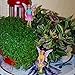 Mood Lab Fairy Garden - Fairy Figurines - Miniature Garden Kit - Walking Girls Set of 2 pcs for Outdoor or House Decor