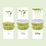 CHICIRIS Seed Sprouter Bean Sprouts Machine 360° Sprayer 220V UK view 8