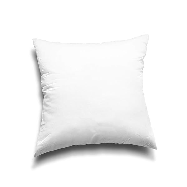 EDOW THROW PILLOW INSERTS, SET OF 4 LIGHTWEIGHT DOWN ALTERNATIVE POLYESTER PILLOW, COUCH CUSHION, SHAM STUFFER, MACHINE WASHABLE. (WHITE, 20X20)
