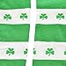 Rhode Island Novelty Shamrock Knee Socks, White/Green, One Size Fits Most