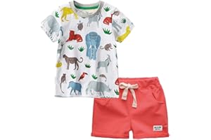 GLEAMING GRAIN Little Boys Shorts Set Toddler Boys 100% Cotton Summer Short Sleeve T-Shirts and Shorts Clothing Sets 2PCS