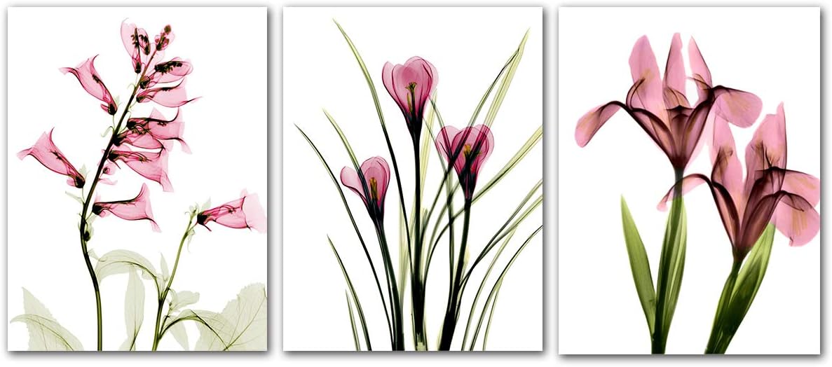 Flower Wall Art Canvas Prints - 3 Panel Elegant Tulip X-Ray Pink Flickering Floral Painting Iris Orchid Wall Pictures for Living Room Bedroom Kitchen Home Decor Office Salon Decoration Artwork