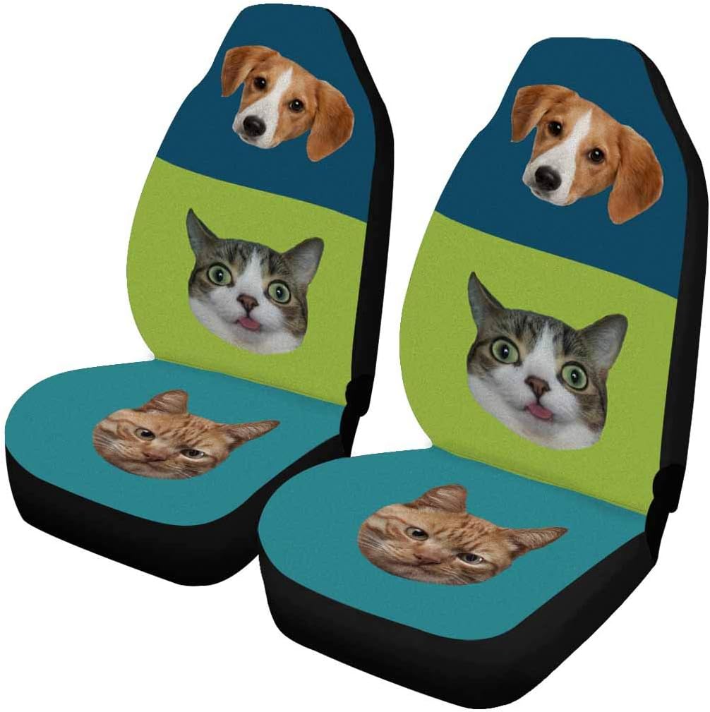 akita american for sale