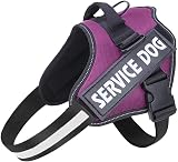 Belababy Soft No Pull Dog Harness Small Adjustable Reflective Purple
