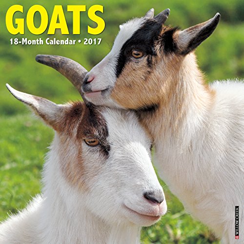 Goats 2017 Wall Calendar