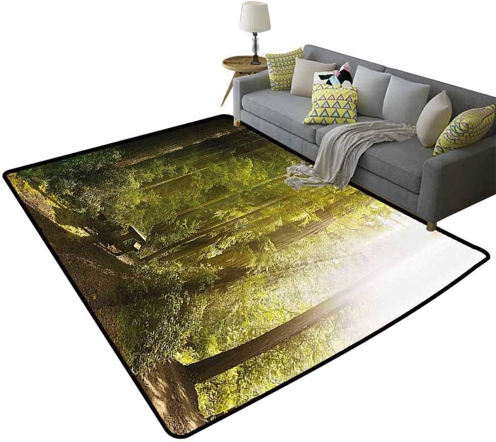 Nature Non-Slip Rug Sunny Rainforest with Wood Bench in Olympic National Park Washington USA Photo Single-Sided Printing Green Yellow, 5'x 7'(150x210cm)