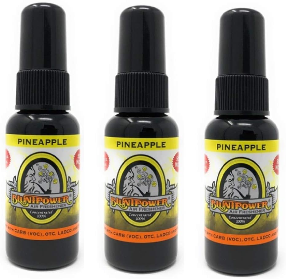 Bluntpower 1 Ounce Bottle Oil Based Air Freshener Oil for Burner Pineapple by Blunt Power